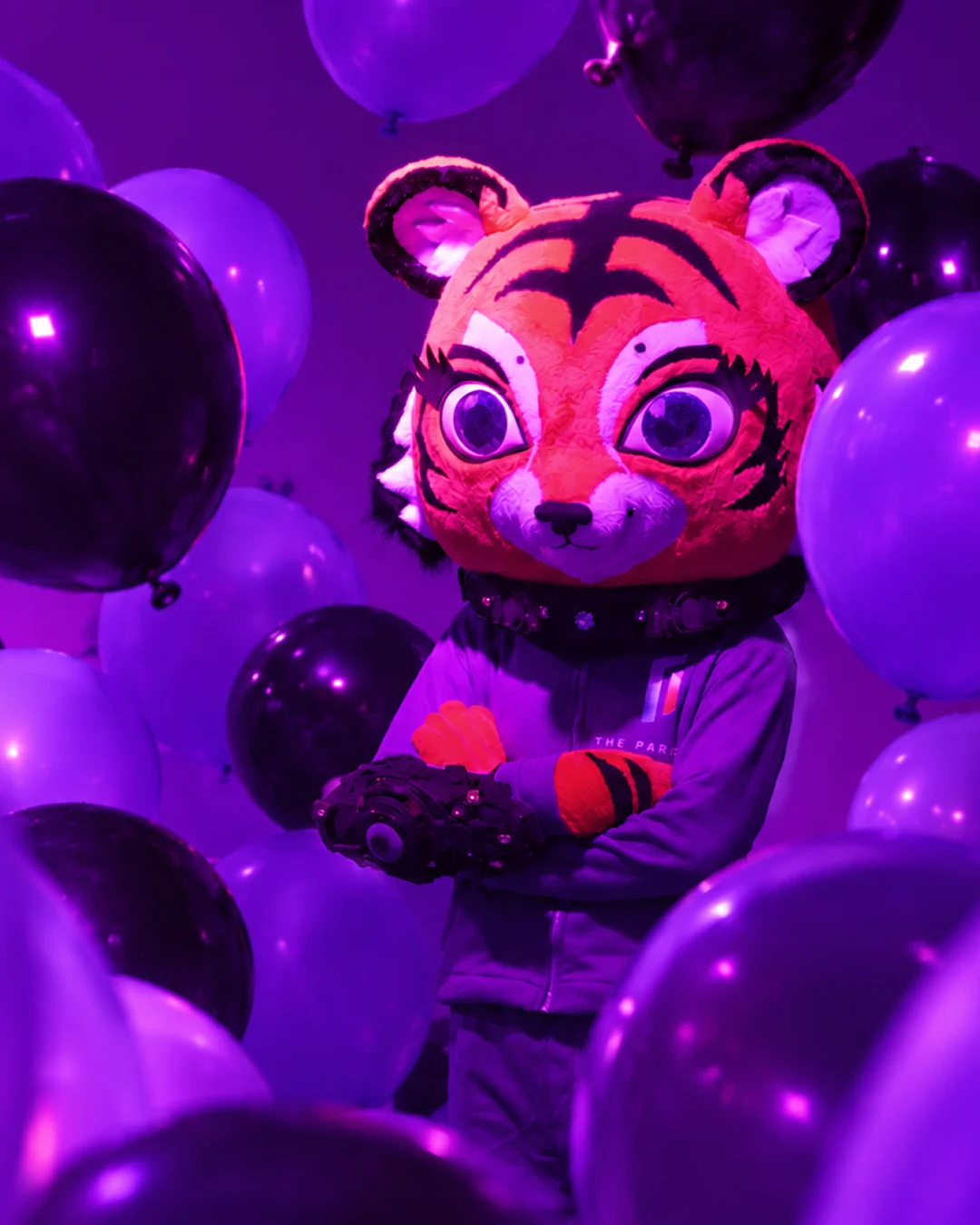 Paradox tiger mascot among purple and black balloons in Cloud Nine
